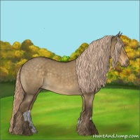 Horse Color:Chocolate Palomino Roan Dun