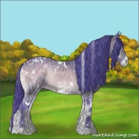 Horse Color:Watercolor White Spotted Buckskin Onyx Appaloosa  and Watercolor White Spotted Bay Ice Onyx 