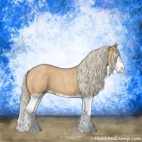 Horse Color:Palomino Roan Splash