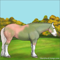 Horse Color:Watercolor Silver Black Sabino Splash 
