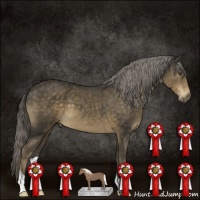 Horse Color:Chocolate Palomino 