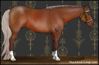 Horse Color:Chocolate Silver Bay 