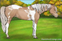 Horse Color:Silver Black Pearl Splash Tobiano 