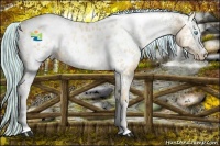 Horse Color:Painted White Spotted Palomino Pearl Dun Near Leopard 