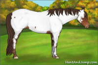 Horse Color:Liver Chestnut Near Fewspot