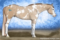 Horse Color:White Spotted Red Dun Splash 