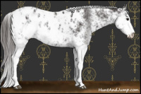 Horse Color:Smoky Black Sabino Appaloosa
