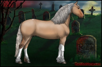 Horse Color:Silver Bay Dun Tobiano