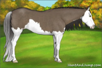 Horse Color:Smoky Grullo Roan Splash