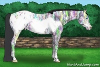 Horse Color:Black Ice Sabino Frame Blanket 