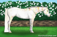 Horse Color:Silver Buckskin Ice Sabino Frame Varnish 