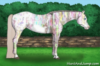 Horse Color:Silver Black Ice Sabino Frame Appaloosa 