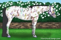 Horse Color:Brown Ice Near Leopard