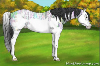 Horse Color:Blue Ice Roan Splash Frame