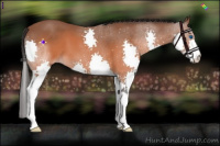 Horse Color:Brown Splash