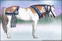 Horse Color:Nacre Bay Roan Splash Appaloosa 
