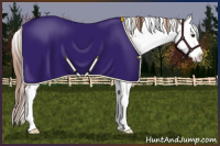 Horse Color:Red Dun Sabino Splash Rabicano 