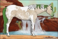 Horse Color:Watercolor Smoky Grullo Ice Tobiano 