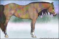 Horse Color:Gray Nacre Bay Dun Sabino