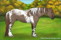 Horse Color:Liver Red Dun Tobiano Brindle 