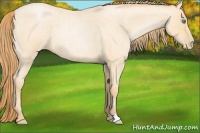 Horse Color:Smoky Blue Roan Pearl 