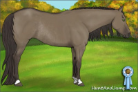 Horse Color:Smoky Grullo Rabicano 