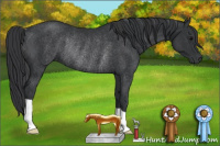 Horse Color:Black Rabicano 