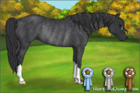 Horse Color:Black Rabicano 
