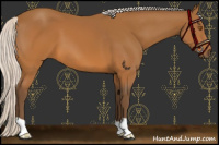 Horse Color:Silver Buckskin 