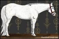 Horse Color:Chocolate Silver Buckskin Pearl Leopard Rabicano 