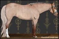 Horse Color:Chocolate Silver Bay Roan 