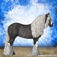 Horse Color:Liver Chestnut Mushroom Rabicano