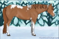 Horse Color:Chestnut Tobiano Frame