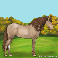 Horse Color:Smoky Blue Roan Pearl 