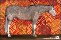 Horse Color:Gray Bay Ice Splash