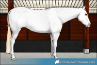 Horse Color:Smoky Grullo Frame Appaloosa