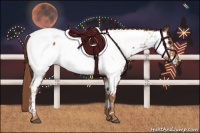 Horse Color:Chestnut Appaloosa 