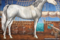 Horse Color:White Spotted Silver Sable Cream Champagne Pearl Dun 