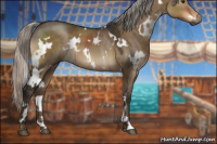 Horse Color:Gray White Spotted Silver Brown Dun 