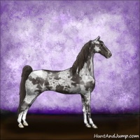 Horse Color:Smoky Black Ice Snowflake Varnish