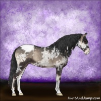 Horse Color:Blue Onyx Ice Snowcap 