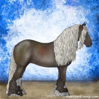 Horse Color:Liver Chestnut Mushroom Rabicano