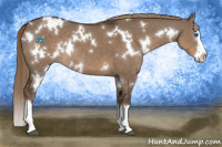 Horse Color:White Spotted Liver Red Dun Splash 