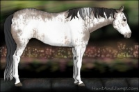Horse Color:Brown Roan Dun Splash Frame and Brown Roan Dun Splash Frame