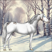 Horse Color:White Spotted Liver Red Onyx Mushroom Splash
