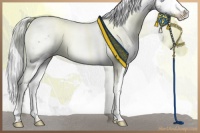 Horse Color:White Spotted Silver Grullo Chinchilla 