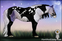 Horse Color:Watercolor Silver Brown Ice Sabino Tobiano