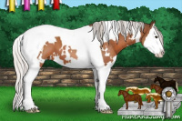 Horse Color:White Spotted Silver Brown Splash Tobiano 
