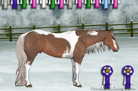 Horse Color:White Spotted Silver Black Tobiano 