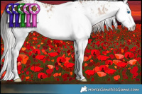 Horse Color:White Spotted Chocolate Silver Brown Dun Splash